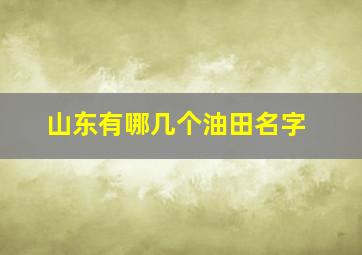 山东有哪几个油田名字