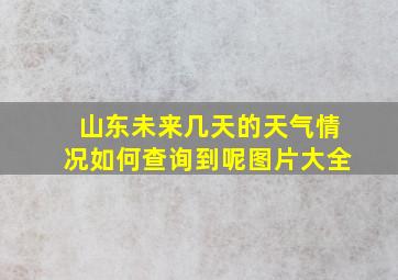 山东未来几天的天气情况如何查询到呢图片大全