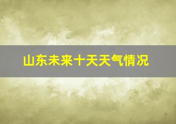 山东未来十天天气情况