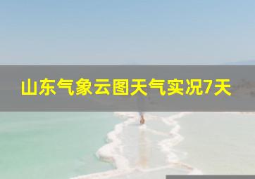 山东气象云图天气实况7天