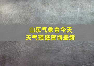 山东气象台今天天气预报查询最新