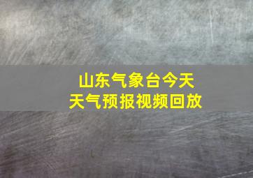 山东气象台今天天气预报视频回放