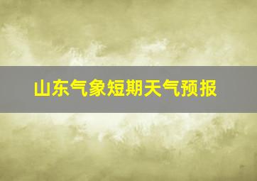 山东气象短期天气预报