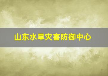 山东水旱灾害防御中心