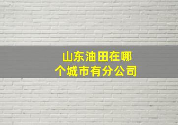 山东油田在哪个城市有分公司