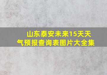 山东泰安未来15天天气预报查询表图片大全集