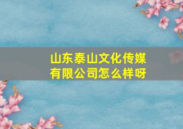 山东泰山文化传媒有限公司怎么样呀