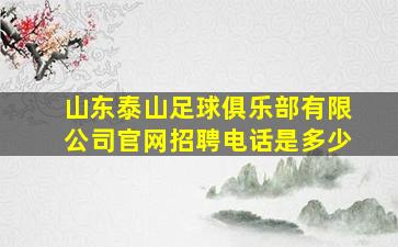 山东泰山足球俱乐部有限公司官网招聘电话是多少