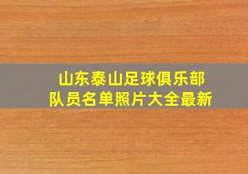 山东泰山足球俱乐部队员名单照片大全最新