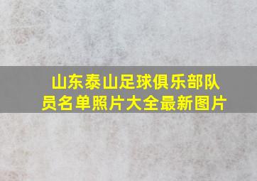 山东泰山足球俱乐部队员名单照片大全最新图片