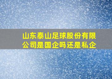 山东泰山足球股份有限公司是国企吗还是私企