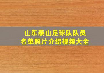 山东泰山足球队队员名单照片介绍视频大全