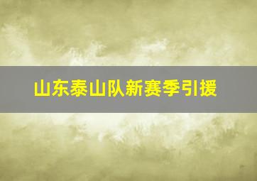 山东泰山队新赛季引援