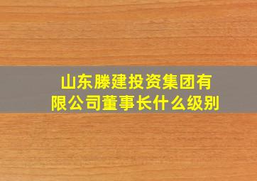 山东滕建投资集团有限公司董事长什么级别