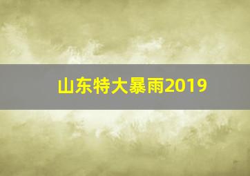 山东特大暴雨2019