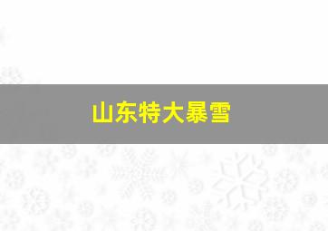 山东特大暴雪