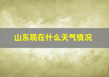 山东现在什么天气情况