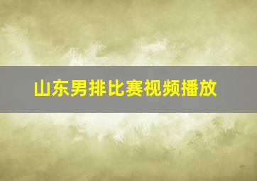 山东男排比赛视频播放