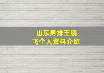 山东男排王鹏飞个人资料介绍