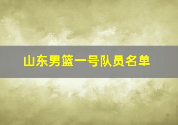 山东男篮一号队员名单