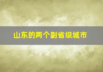 山东的两个副省级城市