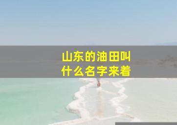 山东的油田叫什么名字来着