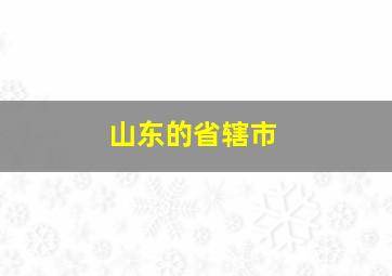 山东的省辖市