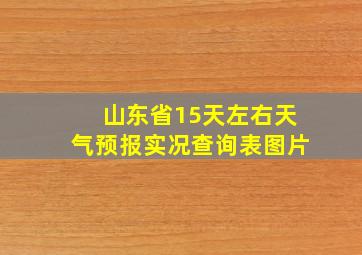 山东省15天左右天气预报实况查询表图片