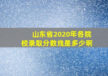 山东省2020年各院校录取分数线是多少啊