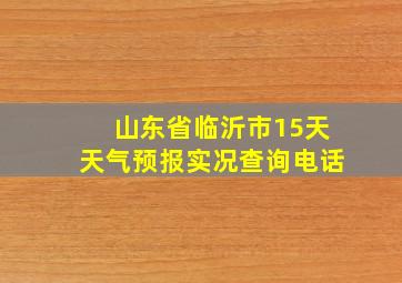 山东省临沂市15天天气预报实况查询电话