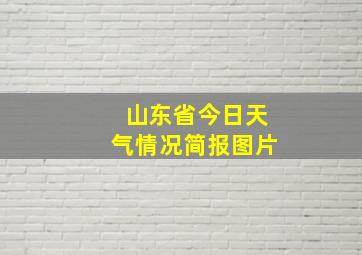 山东省今日天气情况简报图片