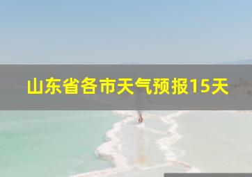 山东省各市天气预报15天