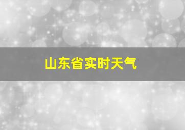 山东省实时天气