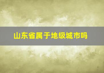 山东省属于地级城市吗