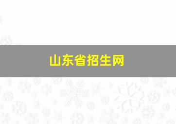 山东省招生网