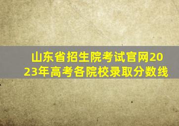 山东省招生院考试官网2023年高考各院校录取分数线