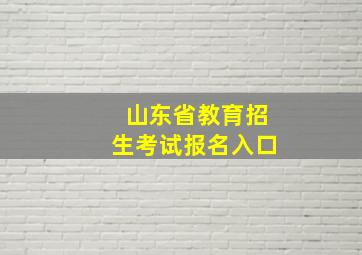 山东省教育招生考试报名入口