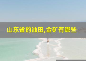 山东省的油田,金矿有哪些