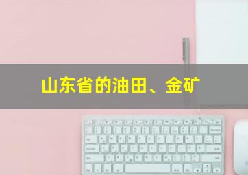 山东省的油田、金矿