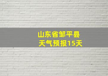 山东省邹平县天气预报15天