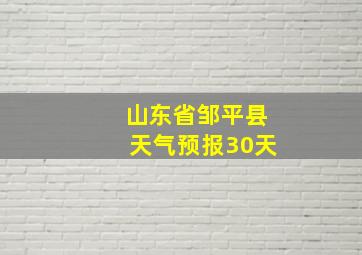 山东省邹平县天气预报30天