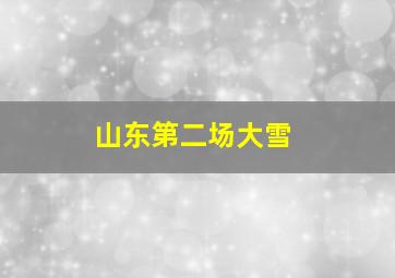 山东第二场大雪