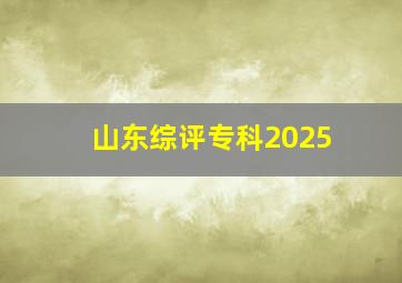 山东综评专科2025