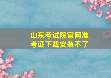 山东考试院官网准考证下载安装不了