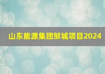 山东能源集团邹城项目2024