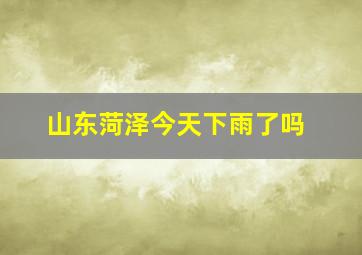 山东菏泽今天下雨了吗