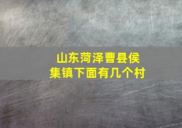 山东菏泽曹县侯集镇下面有几个村