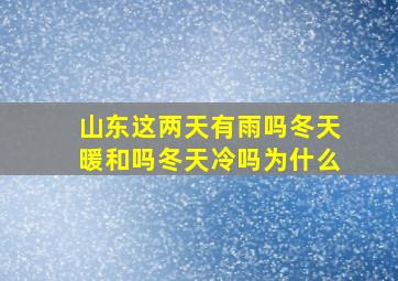 山东这两天有雨吗冬天暖和吗冬天冷吗为什么