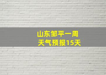 山东邹平一周天气预报15天