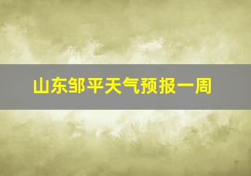 山东邹平天气预报一周